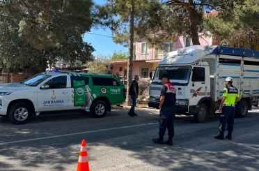 Uşak’ta canlı hayvan nakil araçlarına denetim 