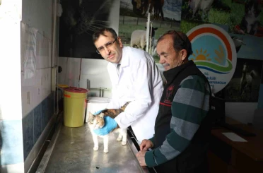 Uşak’ta kedi ve köpek sahiplerine mikroçip uyarısı 