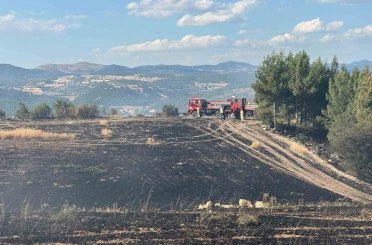 Uşak’ta ormanlık alana sıçrayan yangın söndürüldü 