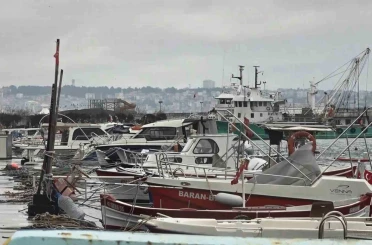 Uyanık lüfer Karadeniz zekasını kullandı: Denizlerde bol ama ağlara girmiyor 