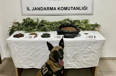 Uyuşturucu operasyonunda 1 kişi tutuklandı 