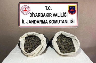 Uyuşturucu operasyonunda 14 kişi gözaltına alındı