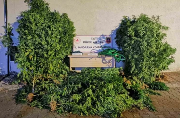 Uyuşturucudan 6 kişi tutuklandı, 44 şahıs hakkında işlem yapıldı 