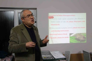 Uzmanı kahverengi kokarca için tarih verdi: "2030 yılından itibaren gündemden çıkmaya başlayacak" 