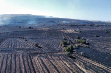 Uzmanı uyardı: "Orman yangınlarına karşı topraktaki nem kapasitesini arttırmalıyız" 
