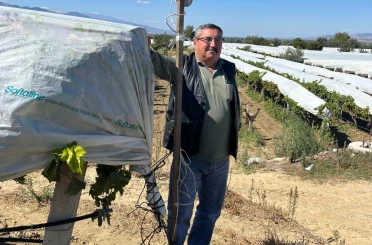 Üzüm bağını hırsızlara karşı kamera ile koruyor 