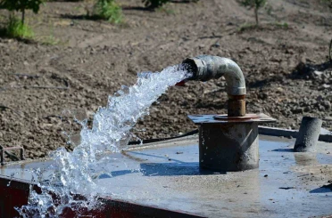 Üzüm ve zeytin için hayati sondaj 