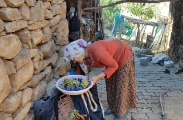 Uzun kış gecelerinde tüketmek için meyveler kurutuluyor 