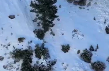 Uzundere’de buz tırmanışında ayı paniği 