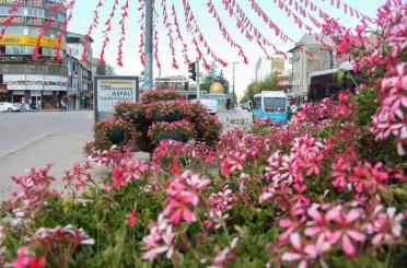 Van Büyükşehir Belediyesi şehri sardunyalarla süslüyor 