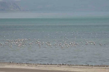 Van Gölü Havzası misafirlerini ağırlıyor 