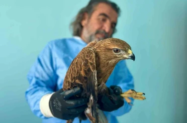 Van Gölü Havzası’ndaki yaban hayatı emin ellerde 