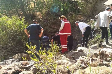 Van’da 334 koyun uçurumdan düşerek telef oldu 