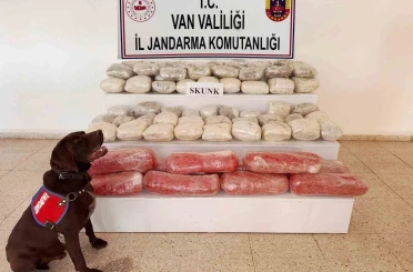 Van’da 61,9 kilogram skunk ele geçirildi 