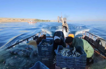 Van’da 90 günlük inci kefali av yasağı sona erdi 