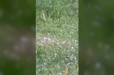 Van’da ceviz büyüklüğünde dolu yağışı 