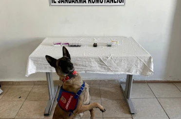 Van’da İran uyruklu şahsın üzerinden 380 adet sentetik hap ele geçirildi 