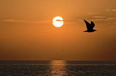 Van’da muhteşem gün batımı ve gün doğumu görsel şölen sundu 