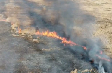 Van’da sazlık yangını 