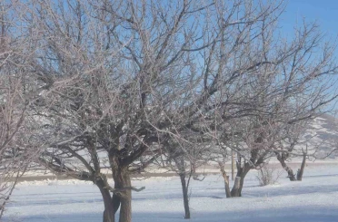 Van’da Sibirya soğukları hayatı olumsuz etkiliyor 