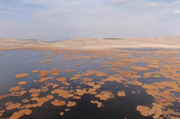 Van’da tarih ve doğa buluşması: Sonbaharın son haftasında kartpostallık manzaralar oluştu 