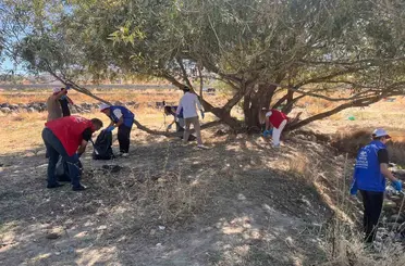 Varto’da gönüllülerden çevre temizliği
