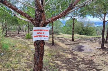 Vatandaşın ağaca astığı "Tabiat temiz kalsın" uyarısı yetmedi 