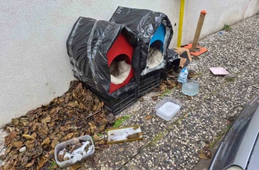 Vatandaşlardan sokak hayvanları için örnek davranış 