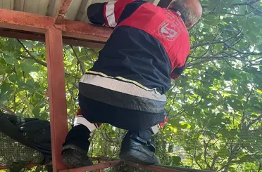 Vatandaşları tedirgin eden 1 buçuk metre yılanı itfaiye yakaladı