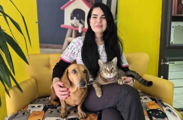 Veteriner kliniğindeki kedi ve köpek arasındaki ilginç dostluk 