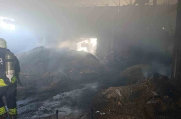 Vize’de palet fabrikasının deposunda yangın 