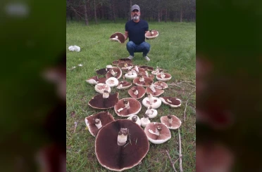 Yağmur sonrası meralar mantarla doldu 
