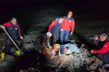 Yalova’da bataklıkta mahsur kalan vatandaş ve büyükbaş hayvanı kurtarıldı 