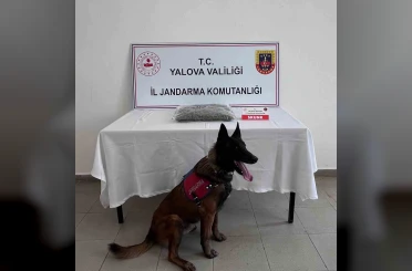 Yalova’da uyuşturucu operasyonunda 1 tutuklama 
