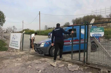 Yalova’daki barınakta köpek ölümleriyle ilgili soruşturma 
