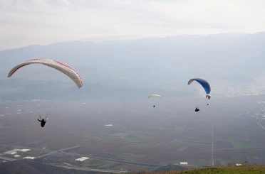 Yanan ormanlar için gökyüzünden paraşütle tohum yağdı 