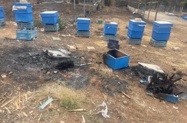 Yangın mağduru arıcılara Bursa Büyükşehirden kovan desteği 