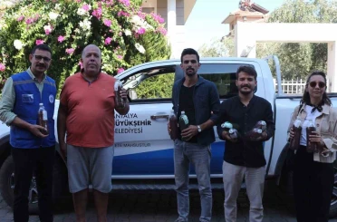 Yangınların ardından yeşil mücadele: Marmaris’ten Antalya’ya tohum desteği 