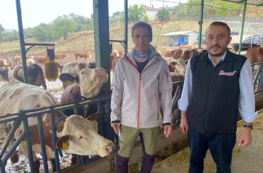 Yapay zeka süt hayvancılığında çığır açtı 