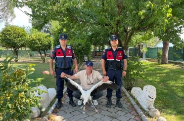 Yaralı leylek için seferber oldular 