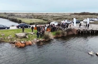 Yaralı pelikanlar tedavilerinin ardından doğaya salındı 