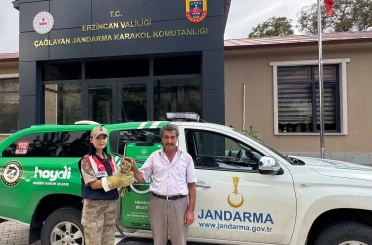 Yaralı Şahin’e jandarmadan şefkat eli 