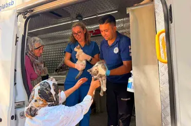 Yaraş’taki orman yangınında can dostlara acil müdahale