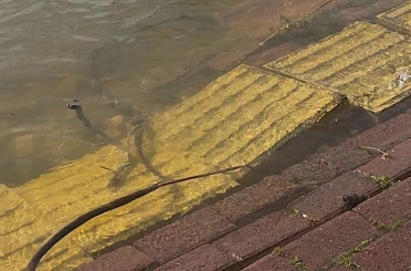 Yaren leyleğin köyü de yükselen göl sularından etkilendi 