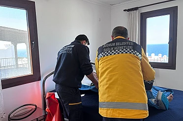 Yarımada genelinde sağlık desteği 