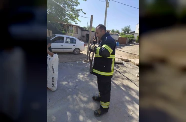 Yatak odasında çığlık attıran görüntü 