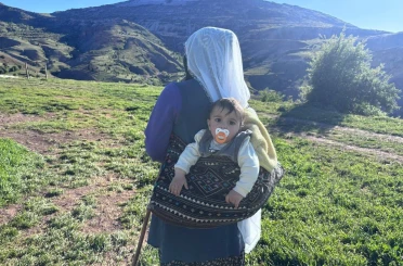 Yaylalarda başlayan emek, Erzincan tulum peyniri olarak sofralara ulaşıyor 