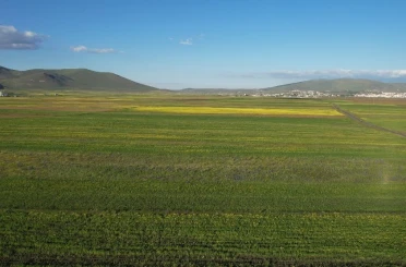 Yazın renk cümbüşüne bürünen Ardahan ovası havadan görüntülendi 