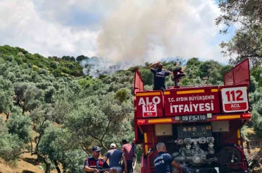 Yenipazar’daki makilik yangını kontrol altına alındı 