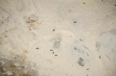 Yenişehir Belediyesi’nden YESAŞ’a hijyen cezası 